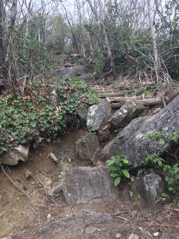 This picture captures how steep the scramble up to Albert Mountain Fire Tower was 